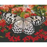 Картина по номерам. Art Craft "Красавица в цветах" 40х50 см 13119-AC