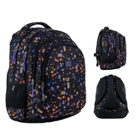 Рюкзак школьный GoPack Teens GO24-162L-5