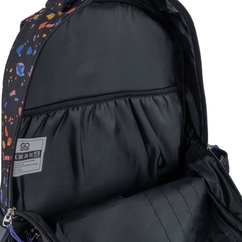Рюкзак школьный GoPack Teens GO24-162L-5