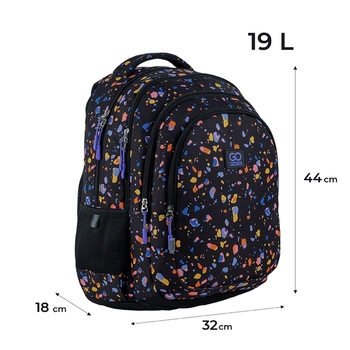 Рюкзак школьный GoPack Teens GO24-162L-5