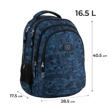 Рюкзак школьный GoPack Teens GO25-162M-5