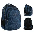 Рюкзак школьный GoPack Teens GO25-162M-5