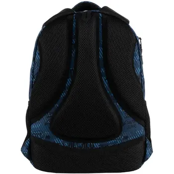 Рюкзак школьный GoPack Teens GO25-162M-5
