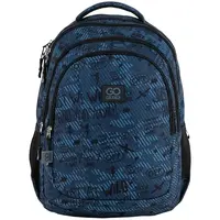 Рюкзак школьный GoPack Teens GO25-162M-5
