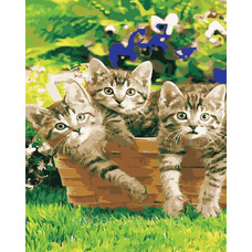 Картина за номерами Кошенята у саду 40х50 ArtStory AS01051